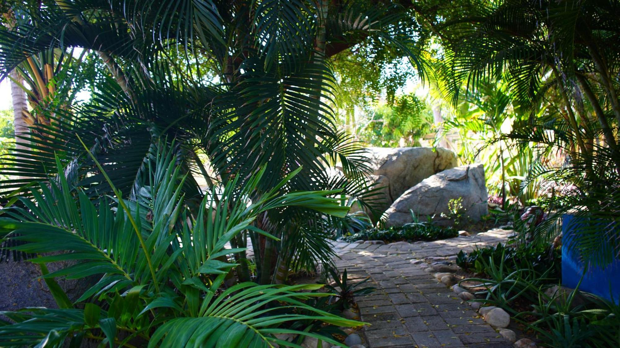 Ocean Oasis Hotel - Adult Only, Four Casitas Boutique Resort Agua Blanca Buitenkant foto