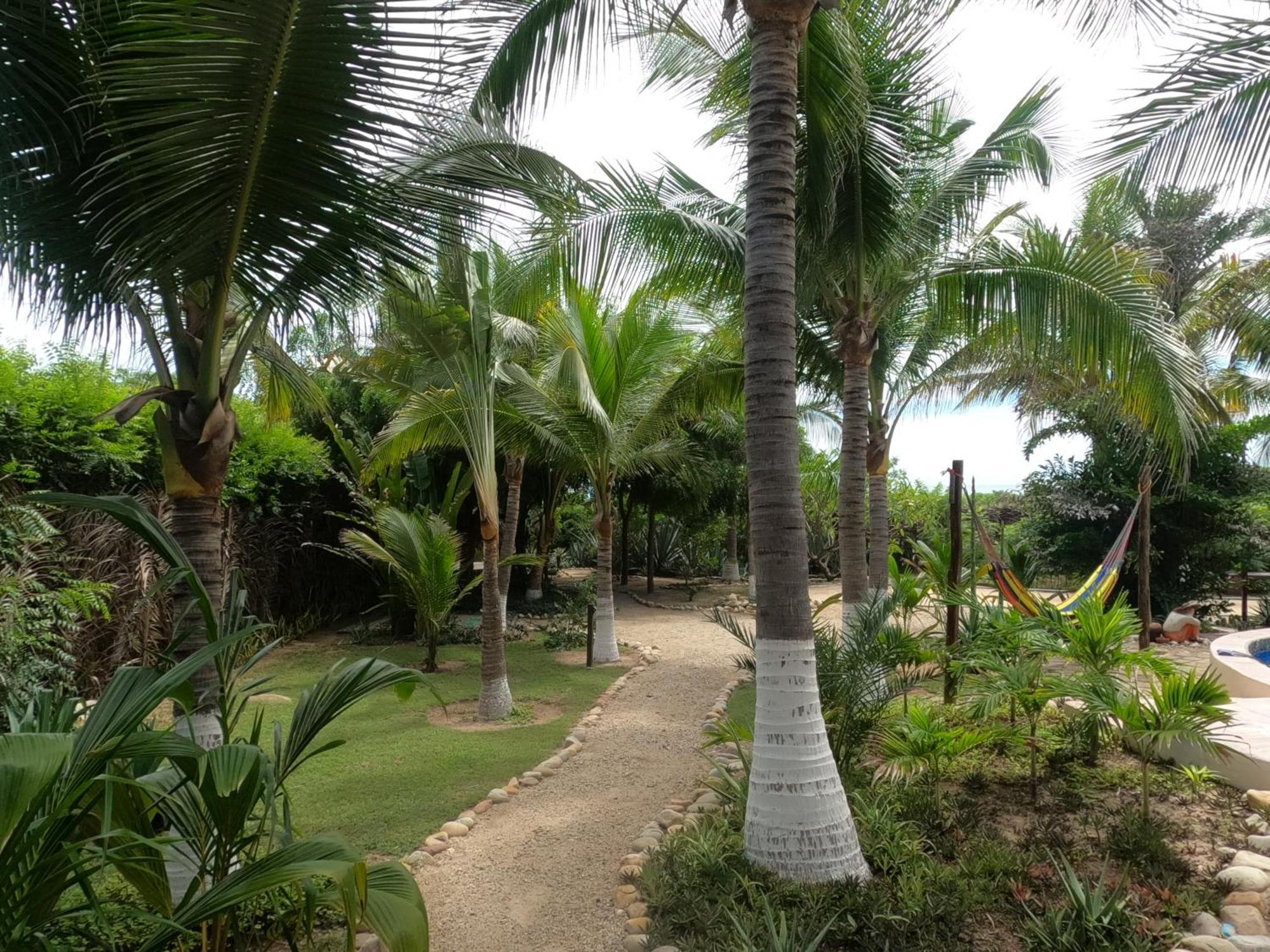 Ocean Oasis Hotel - Adult Only, Four Casitas Boutique Resort Agua Blanca Buitenkant foto